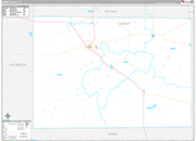 Dimmit Wall Map Premium Style