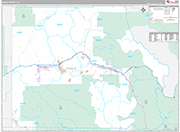 Eagle Wall Map Premium Style