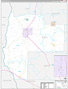 Early Wall Map Premium Style