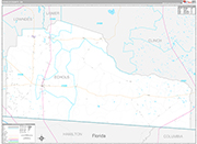 Echols Wall Map Premium Style