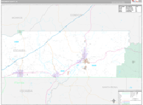 Escambia Wall Map Premium Style