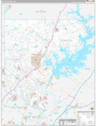 Forsyth Wall Map Premium Style