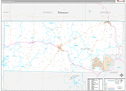 Fulton Wall Map Premium Style