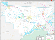 Gadsden Wall Map Premium Style