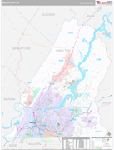 Hamilton Wall Map Premium Style