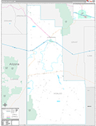 Hidalgo Wall Map Premium Style