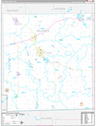 Hillsdale Wall Map Premium Style