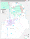 Houston Wall Map Premium Style