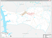 Houston Wall Map Premium Style