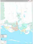 Jackson Wall Map Premium Style