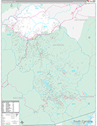 Jackson Wall Map Premium Style