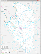 Jackson Wall Map Premium Style