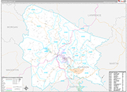 Johnson Wall Map Premium Style