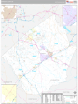 Johnston Wall Map Premium Style