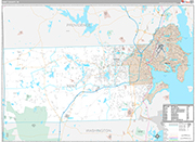 Kent Wall Map Premium Style