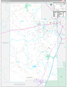 Lamar Wall Map Premium Style