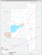 Lanier Wall Map Premium Style