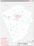 Laurens Wall Map Premium Style