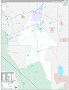 Lyon Wall Map Premium Style