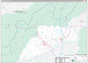 Madison Wall Map Premium Style