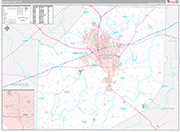 Madison Wall Map Premium Style