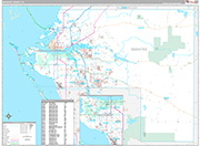 Manatee Wall Map Premium Style
