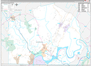Marion Wall Map Premium Style
