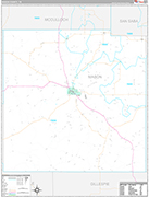 Mason Wall Map Premium Style