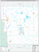 Mecosta Wall Map Premium Style