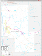 Montgomery Wall Map Premium Style