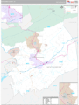 Montgomery Wall Map Premium Style