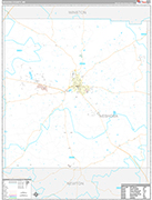 Neshoba Wall Map Premium Style