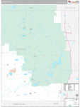 Newaygo Wall Map Premium Style