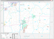Newton Wall Map Premium Style