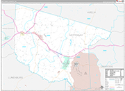 Nottoway Wall Map Premium Style