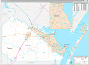 Nueces Wall Map Premium Style