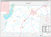 Obion Wall Map Premium Style