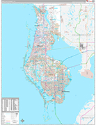 Pinellas Wall Map Premium Style