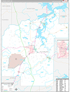 Pittsburg Wall Map Premium Style