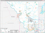 Platte Wall Map Premium Style