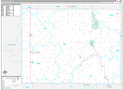 Pulaski Wall Map Premium Style