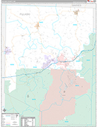 Pulaski Wall Map Premium Style