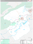 Pulaski Wall Map Premium Style