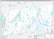 Putnam Wall Map Premium Style