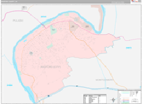 Radford County Wall Map Premium Style