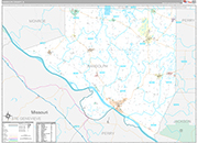 Randolph Wall Map Premium Style