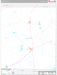 Runnels Wall Map Premium Style