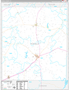 Runnels Wall Map Premium Style