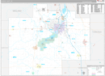 Saginaw Wall Map Premium Style