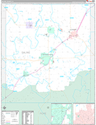 Saline Wall Map Premium Style